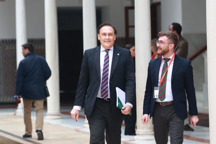 El consejero de Universidad, Investigación e Innovación, José Carlos Gómez Villamandos, a su llegada al Pleno del Parlamento de Andalucía.