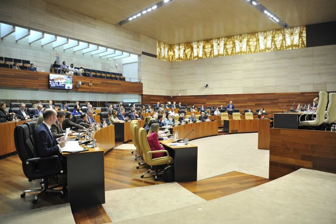 Pleno de la Asamblea de Extremadura