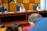 VOX sostiene que el proyecto de presupuesto de 2024 "tiene como protagonistas a todos los zaragozanos"