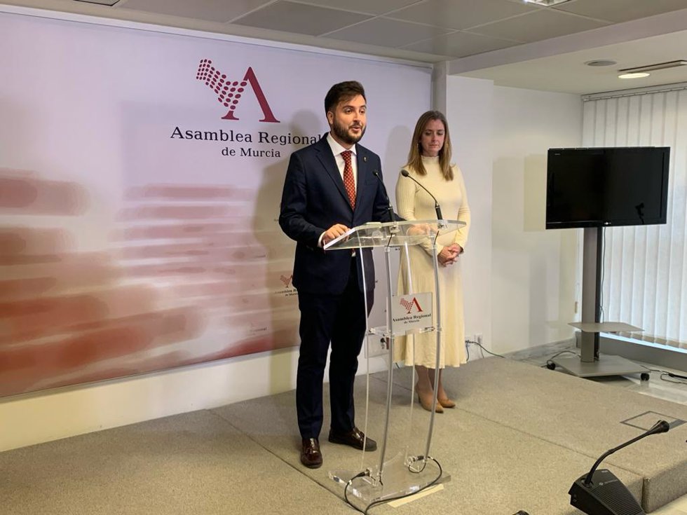 Landáburu (PP): "El PSOE debería pedirle a Sánchez que reduzca la burocracia de las ayudas al autoconsumo energético"