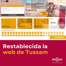 Imagen de la página web de Tussam.