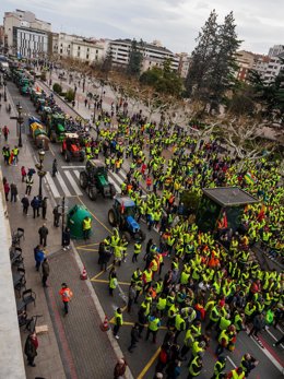 Agricultores frente a la Delegación del Gobierno