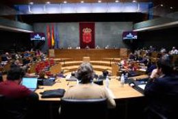 Pleno del Parlamento de Navarra de este jueves.