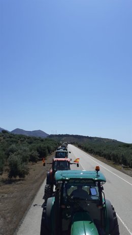 Archivo - Imagen de archivo de una protesta de agricultores 