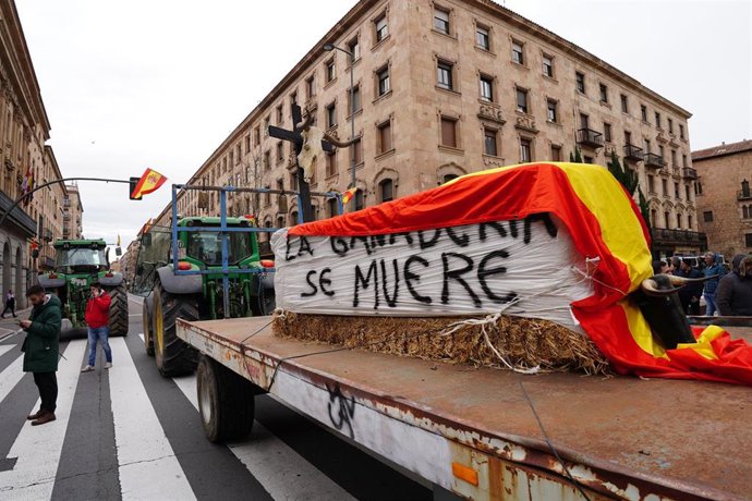 Varios tractores durante la tercera jornada de protestas de los ganaderos y agricultores para pedir mejoras en el sector, a 8 de febrero de 2024, en Salamanca, Castilla y León (España). 