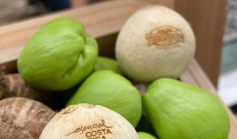 Comunicados Internacional