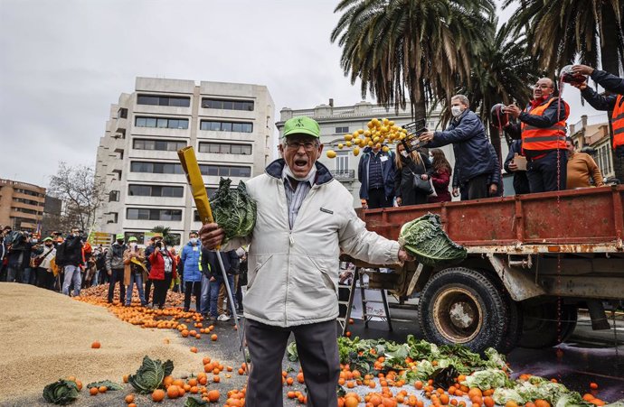 Archivo - Varios agricultores tiran coles y naranjas como protesta, en una concentración por la “supervivencia” del campo valenciano, en la Plaza San Agustín, a 25 de febrero de 2022, en Valencia, Comunidad Valenciana (España). Organizada por AVA-Asaja, A