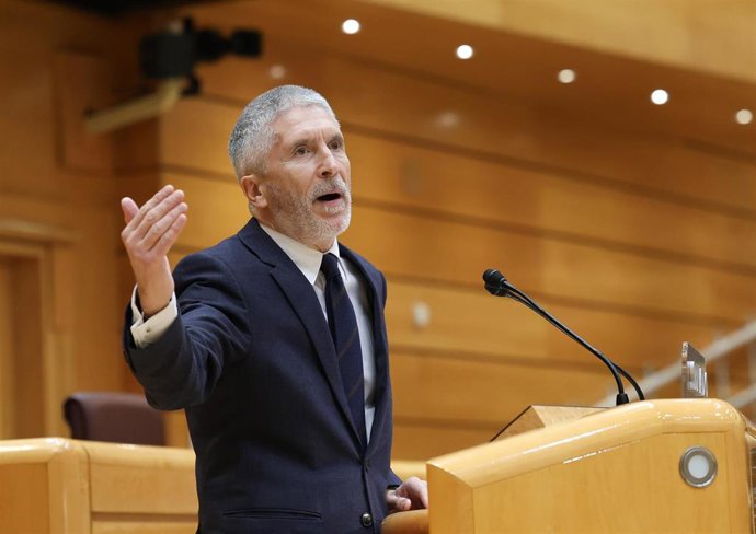 El ministro del Interior, Fernando Grande-Marlaska, interviene durante una sesión plenaria en el Senado, a 7 de febrero de 2024, en Madrid (España). 