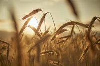 Saeca avala en 2023 más de 7.200 operaciones de crédito a agricultores y ganaderos por 252,4 millones