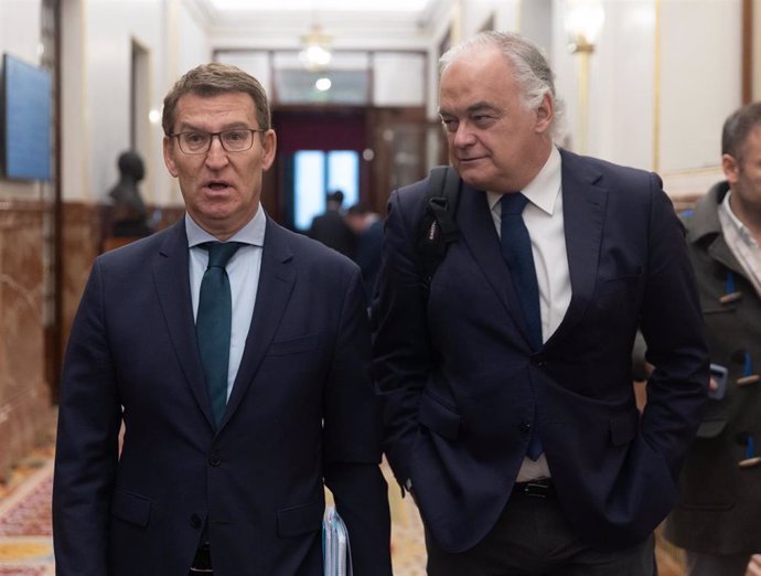 El presidente del PP, Alberto Núñez Feijóo (i), y el vicesecretario de Institucional del PP, Esteban González Pons (d), a su llegada a una sesión plenaria, en el Congreso de los Diputados, a 7 de febrero de 2024, en Madrid (España). El presidente del Gobi