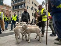 La plataforma 6F asegura que protestará este fin de semana a pesar de no tener permiso y no desvela sus planes
