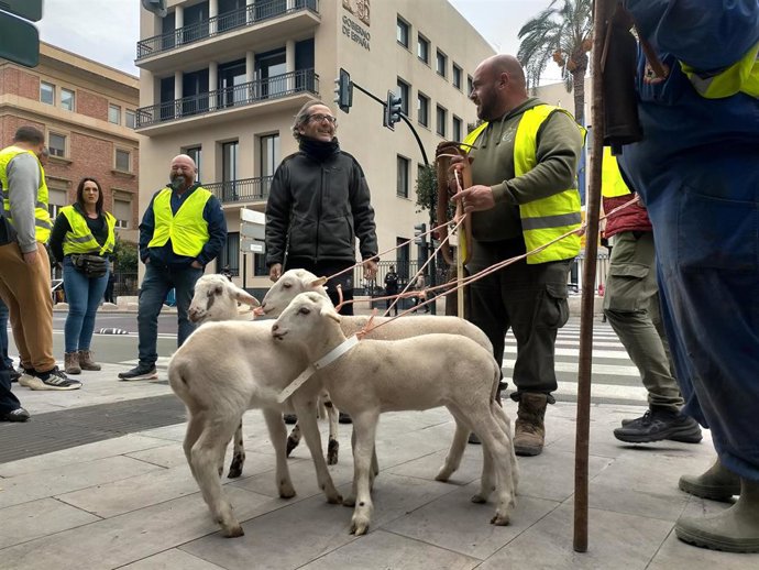 Vídeo de la noticia
