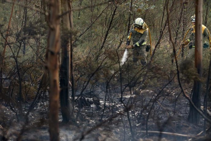 Equipos de bomberos trabajan en un incendio