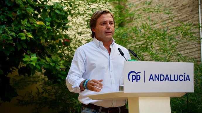 Archivo - El secretario general del PP-A, Antonio Repullo, en rueda de prensa. (Foto de archivo).