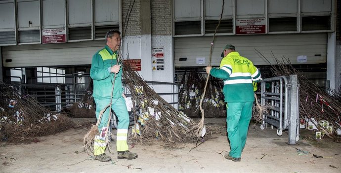 Archivo - Trabajadores del SERCA