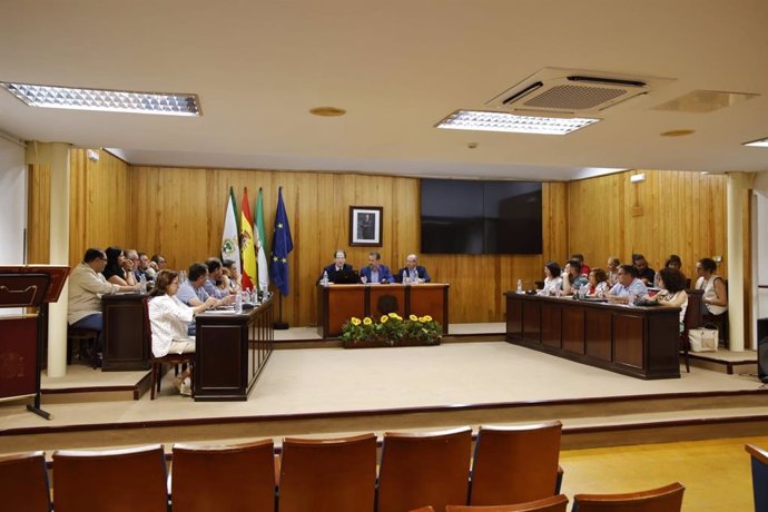 Archivo - Pleno extraordinario del Ayuntamiento de Mairena del Aljarafe