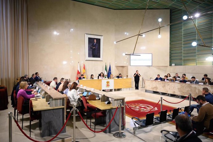 Pleno del Ayuntamiento de Almería.