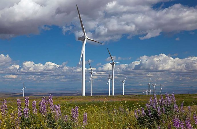 Archivo - Parque eólico de Iberdrola en EEUU