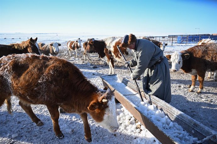 Archivo - HULUN BUIR, Dec. 22, 2023  -- Erdendalai clears ice cubes in the sink in Hulun Buir, north China's Inner Mongolia Autonomous Region, Dec. 16, 2023. Winter usually means challenges for herdsmen living on the grasslands. Severe cold and snow alw