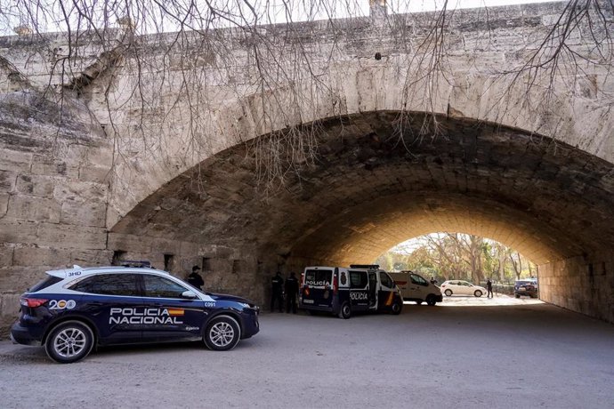 Varios vehículos de Policía en el lugar donde han sucedido los hechos, bajo el Puente del Real, en el Jardín del Turia