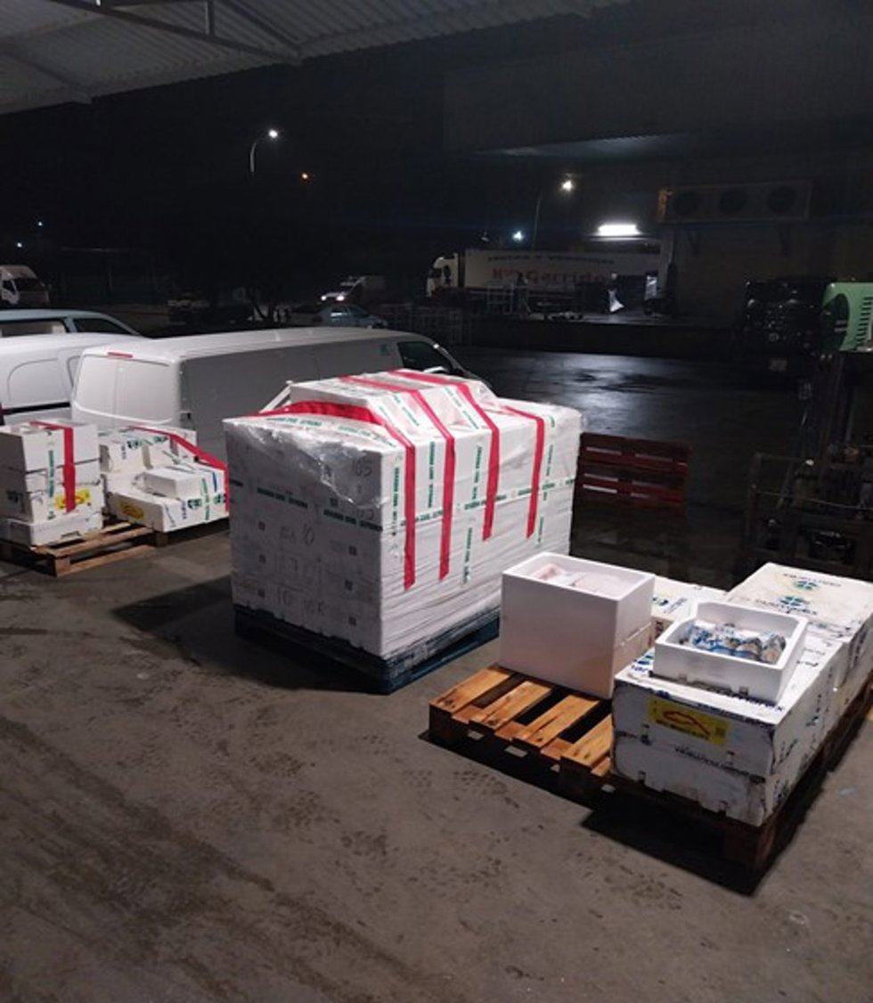 Cajas embaladas con el pescado intervenido por la Inspección Pesquera de la Junta de Andalucía en Córdoba.