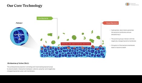 Comunicados Internacional