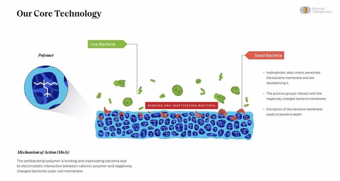 Illustration of Polaroid Therapeutics' antimicrobial polymer.