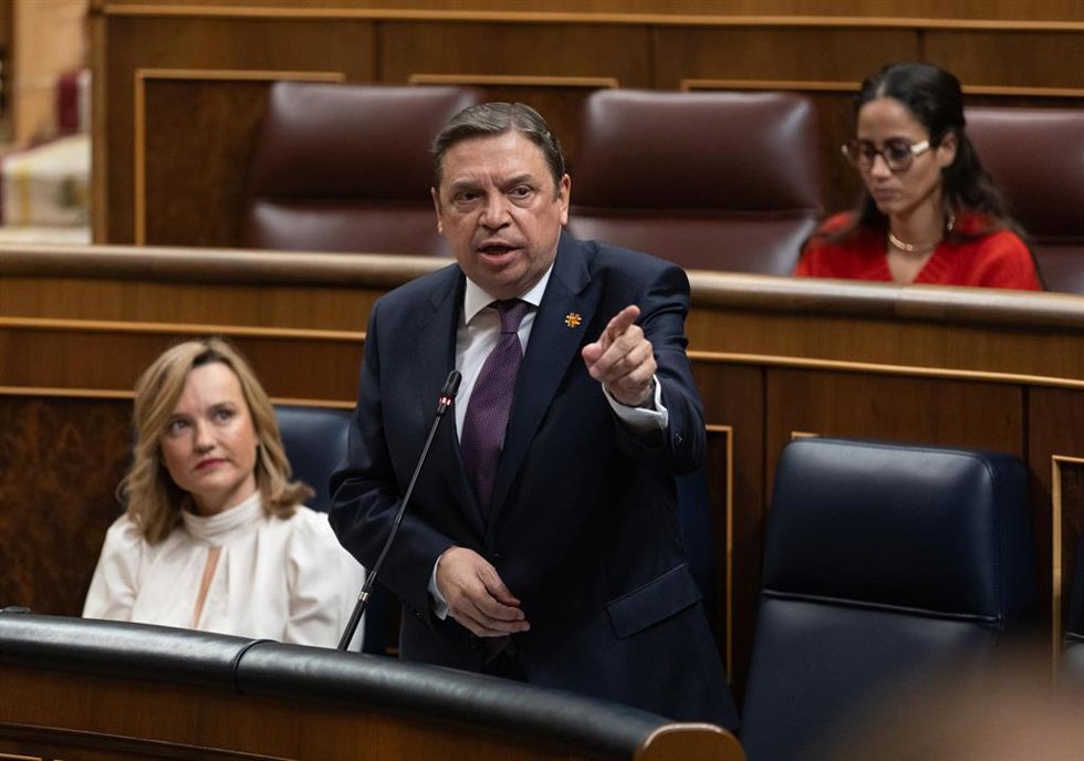 El ministro de Agricultura, Pesca y Alimentación, Luis Planas