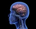 Un diagnóstico acertado de epilepsia permite controlar el 70% de las crisis con medicación