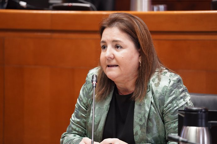 La directora gerente del INAEM, Ana López, ha comparecido en la Comisión de Economía, Empleo e Industria de las Cortes de Aragón.