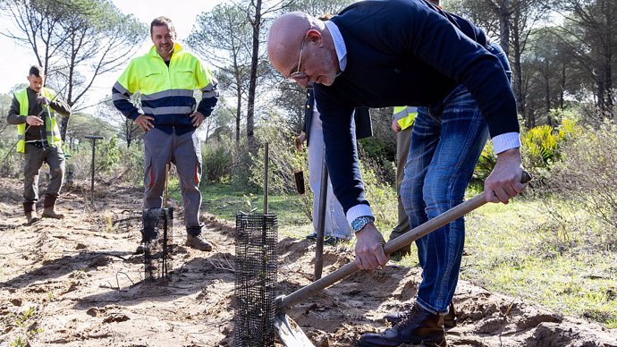 El seleccionador nacional de fútbol, Luis de la Fuente, plantado árboles en Doñana.