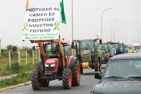 Detenido un conductor tras atropellar a tres manifestantes de un piquete de agricultores en Arahal (Sevilla)