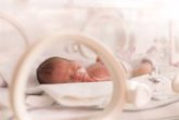 Foto: Investigan los problemas de la ventilación mecánica en bebés prematuros