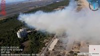 Estabilitzat l'incendi del Saler