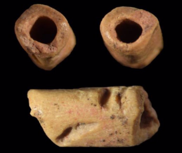 Estas imágenes son de una cuenta en forma de tubo hecha de hueso que tiene aproximadamente 12.940 años.