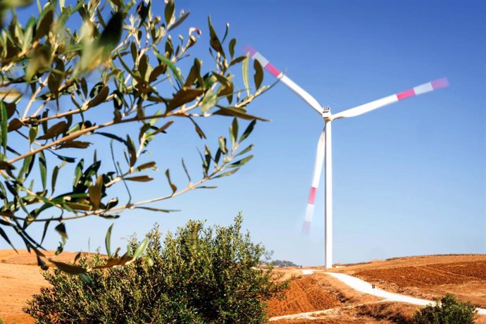 Archivo - EDP Renewables se adjudica contratos a largo plazo para la venta de 100 MW de Energía de energía limpia en Italia