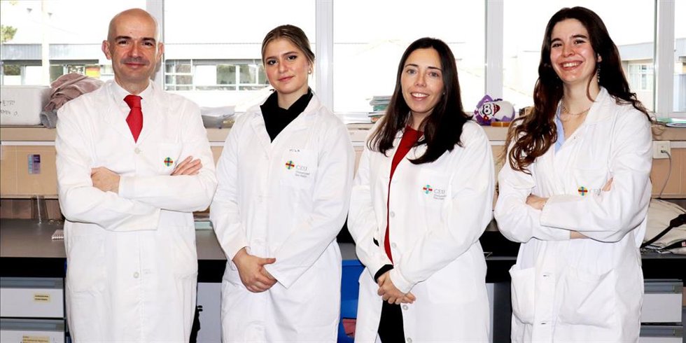 Investigadores del CEU consiguen modular los efectos del alcohol sobre la matriz del cerebro adolescente