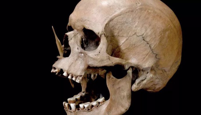 El hombre de Porsmose del Neolítico, asesinado por dos flechas con punta de hueso