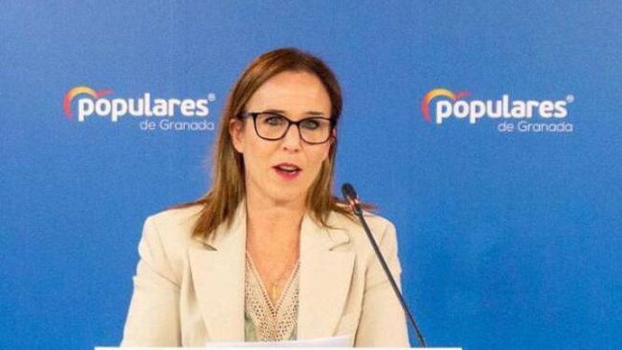 La portavoz del Partido Popular de Granada, Lourdes Ramírez.