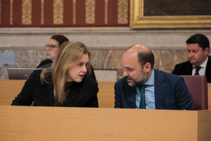 Vox Sevilla aboga por solicitar a la Cámara de Cuentas una auditoría de las subvenciones a Cooperación al Desarrollo.