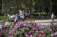 Jerez de la Frontera, Rota, Huelva, Morón y Ceuta alcanzan récords de temperaturas mínimas más altas en febrero