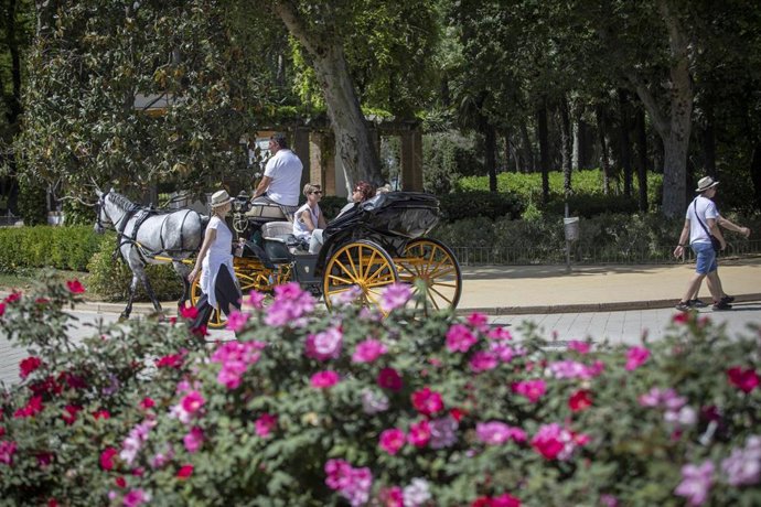 Archivo - Día soleado 