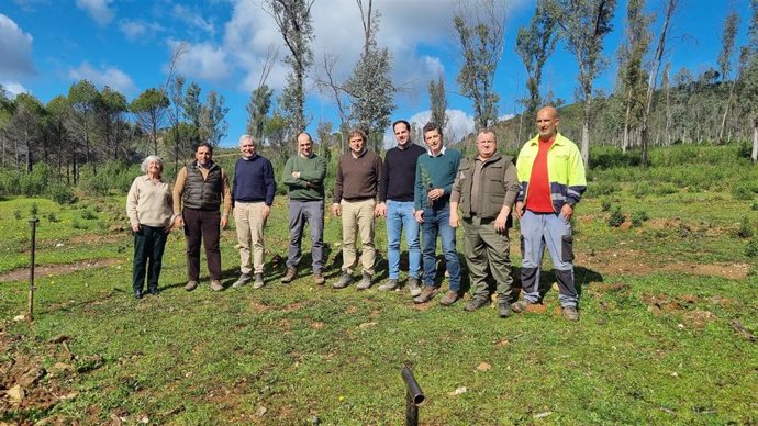 Visita a los trabajos de repoblación forestal de 70 hectáreas en el monte público 'La Alcaidía' que está acometiendo Atalaya.