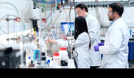 Investigación
