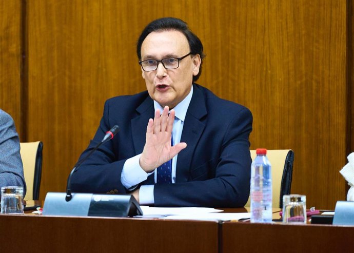 El consejero José Carlos Gómez Villamandos, en la comisión parlamentaria celebrada el 13 de febrero de 2024.