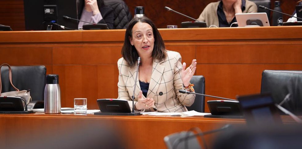 La consejera de Bienestar Social y Familia del Gobierno de Aragón, Carmen Susín, en las Cortes de Aragón
