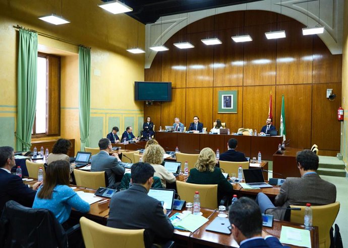 Comisión de Universidad, Investigacion e Innovación con la participación del consejero José Carlos Gómez Villamandos.