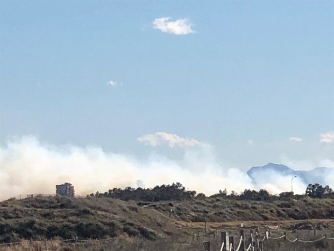 Incendi a El Saler