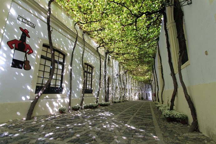 Calle Ciegos en González Byass