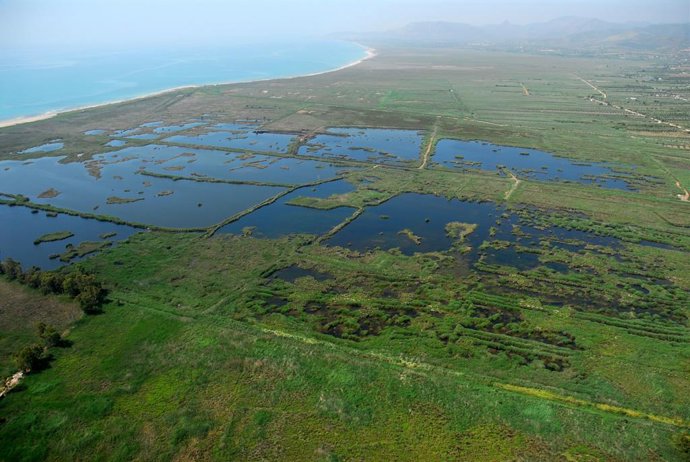 Prat Cabanes Torreblanca